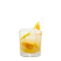 Kép 2/4 - Bols Red Orange likőr (vérnarancs) 0,7L