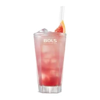 Kép 3/4 - Bols Red Orange likőr (vérnarancs) 0,7L