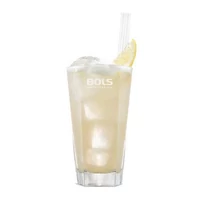 Kép 4/4 - Bols Apricot Brandy likőr (sárgabarack) 0,7L