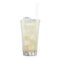 Kép 3/4 - Bols Elderflower likőr (bodza) 0,7L