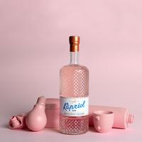 Kapriol Grapefruit & Hibiscus gin - 0,7L (40,7%)