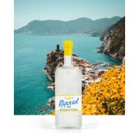 Kapriol Lemon & Bergamot gin - 0,7L (40,7%)
