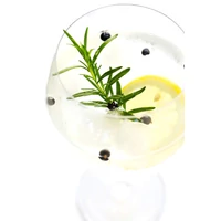 Kép 5/5 - gin tonic szárított gyümölcsök