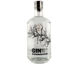 Rammstein Gin 0,7l 40%