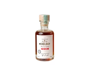 Mixology Negroni 0,1L 19.94%