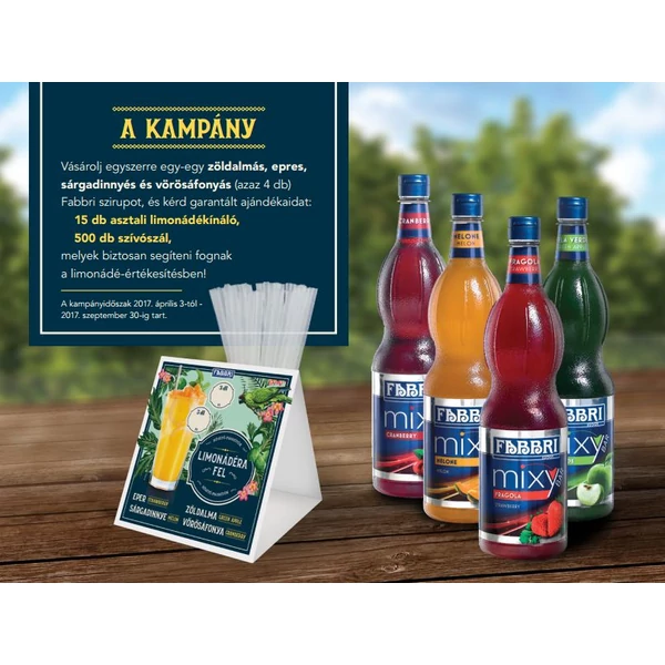 2.Fabbri Limonádé csomag Akció! Redeljen 4 ízt, 1 csomag szívószálat és 15 db limonádélapot adunk ajándékba!